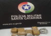 PM intercepta veículo e apreende drogas avaliadas em mais de 3 kg em SC