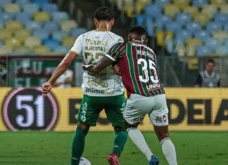 Chapecoense luta até o fim, mas vacila na reta final e sai derrotada no Rio