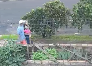 VÍDEO: Adolescente é morta a facadas no Paraná; crime é tratado como feminicídio