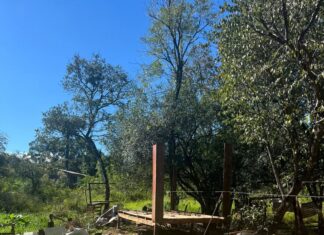 Prefeitura de Chapecó impede ocupação irregular em área de preservação próxima ao Lajeado São José