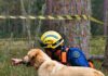 Dia Internacional celebra atuação de cães de busca e resgate em Santa Catarina