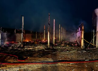 Incêndio de grandes proporções destrói aviário durante a madrugada no Oeste de SC