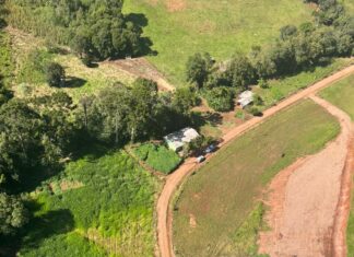 VÍDEO: Polícia Civil divulga detalhes de ação que prendeu homem em flagrante por feminicídio no Oeste de SC