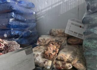 Operação revela irregularidades graves e fecha frigorífico no Oeste de SC