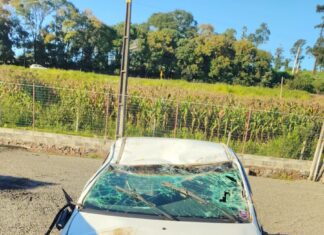 VÍDEO: Motorista embriagado é preso após acidente com placas adulteradas no Oeste de SC