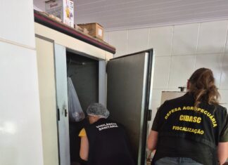 Irregularidades sanitárias levam à apreensão de produtos em comércio no interior de Chapecó