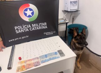 Polícia descobre “ponto de drogas” e apreende mais de 100 pedras de crack em Chapecó