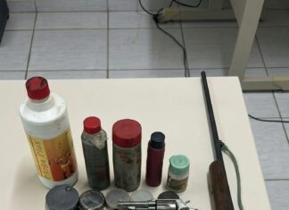 Idoso de 84 anos é preso com armas após denúncia de violência doméstica no Oeste de SC