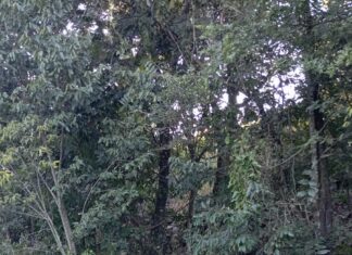 Acidente entre dois carros mobiliza aeromédico e deixa três vítimas no Oeste de SC