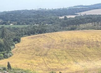 Perseguição com apoio aéreo termina com apreensão de drogas em Chapecó