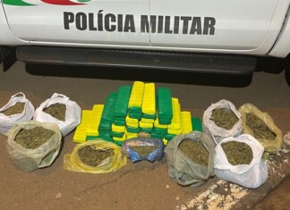 Adolescente é apreendida com mais de 42 kg de maconha em ônibus no Oeste de SC