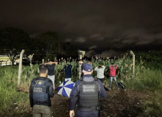 Guarda Municipal de Chapecó intensifica ações de segurança com operações noturnas