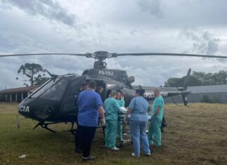 VÍDEO: Trabalhador fica ferido após queda de árvore e é resgatado por aeronave no Oeste de SC