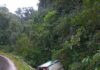 Caminhão sai da pista e tomba na SC-155