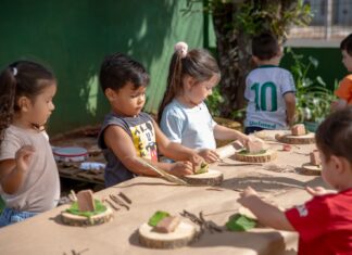 Criatividade em ação: crianças do CEIM Esplanada aprendem sobre moradias com projeto inspirado no joão-de-barro