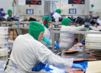 Santa Catarina cria mais de 59 mil novos empregos formais no primeiro trimestre de 2026