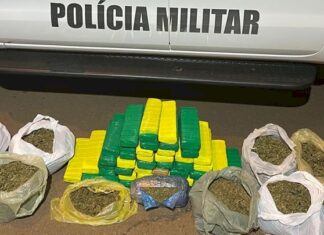 Adolescente é apreendida com 42 kg de maconha em SC