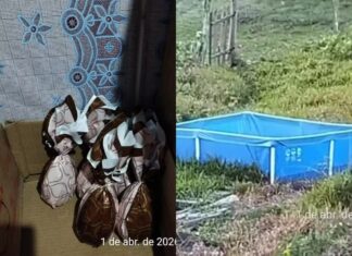 Ovos de Páscoa e piscina: homem é preso suspeito de aliciar menores para exploração sexual no Oeste de SC