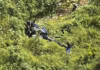 VÍDEO: Helicóptero cai durante decolagem e deixa quatro pessoas feridas