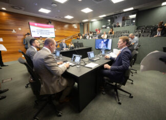 CCJ aprova cadastro de apoio à Defesa Civil e venda de spray de pimenta para mulheres