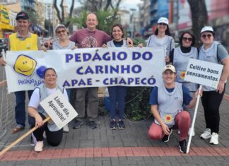 Pedágio do Carinho mobiliza Chapecó neste sábado para apoiar a Apae