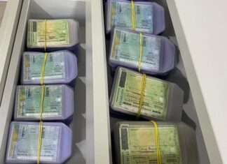 Detran/SC alerta: CNHs não retiradas até 2 de junho serão destruídas
