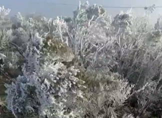 VÍDEO: Massa de ar polar derruba temperaturas e Santa Catarina registra -3,1°C