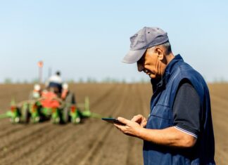 Novos projetos propõem mudanças em áreas como saúde, educação, cotas e internet rural