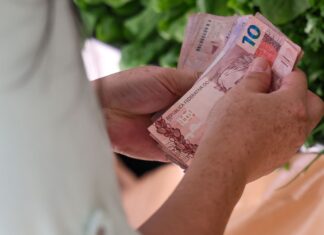 Santa Catarina é o estado que menos recebe Bolsa Família e reduz índice para 3,9%