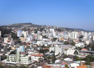 400 gatos em apartamento mobilizam força-tarefa e acendem alerta no Oeste Catarinense