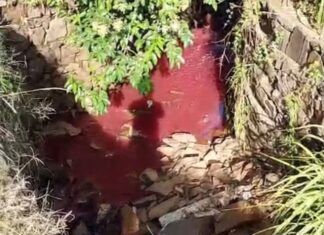 VÍDEO: Populares registram “água cor de vinho” em córrego de Chapecó