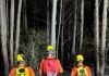Incêndio atinge plantação de eucaliptos e mobiliza bombeiros no Oeste