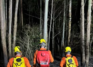 Incêndio atinge plantação de eucaliptos e mobiliza bombeiros no Oeste