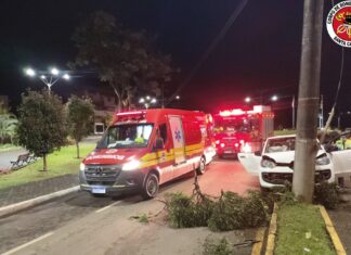 Motorista perde controle e colide contra poste no Oeste de SC