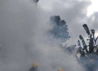 Fogo atinge galpão e mobiliza bombeiros de duas cidades no Oeste de SC