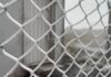 Frio intenso traz primeiros registros de neve do ano em Santa Catarina