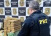 PRF intercepta comboio com 360 quilos de maconha na BR-282 em SC