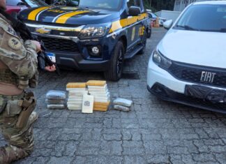VÍDEO: PRF apreende mais de 26 quilos de drogas após tentativa de fuga na BR-101 em SC
