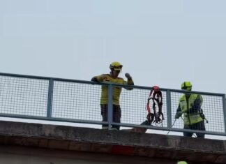 VÍDEO: Bombeiros resgatam cachorro em situação de risco sobre viaduto da BR-282 no Oeste de SC