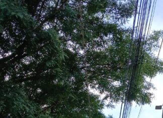 A avenida Fernando Machado terá meia pista bloqueada nesta sexta-feira (22), em Chapecó