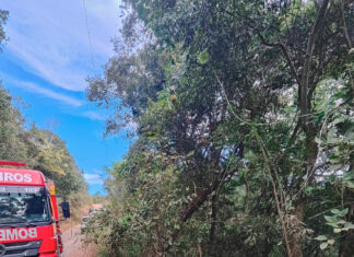 Mulher fica ferida após carro sair da pista e parar em ribanceira no Oeste Catarinense
