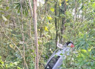Idoso sai ileso após carro cair em ribanceira na BR-280
