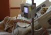 Pais serão indenizados após óbito fetal registrado por falha em atendimento obstétrico