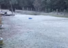 Onda de frio intenso atinge o RS, provoca geada e pode registrar neve nas próximas horas