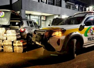 Mais de 300 kg de maconha são apreendidos em motel no Meio-Oeste de SC