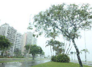 Chuva volta a Santa Catarina neste fim de semana e Defesa Civil alerta para temporais no Oeste