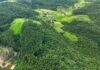 Mais Verde: Governo de Santa Catarina abre inscrições para programa que incentiva a conservação da vegetação nativa no meio rural