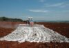 Campo em Foco: Correção da acidez do solo e a tomada de decisão