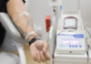 Junho Vermelho reforça importância da doação de sangue e destaca legislação de incentivo em SC