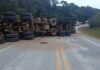 Tombamento de caminhão com carga de toras mantém BR-282 totalmente interditada em SC